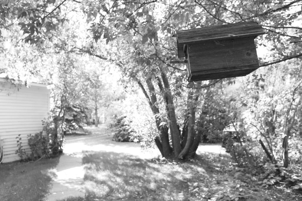 Sproule Heritage Bed & Breakfast Strathmore Esterno foto