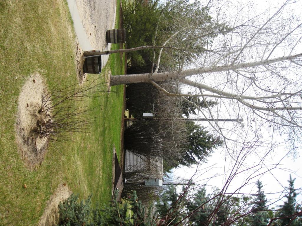 Sproule Heritage Bed & Breakfast Strathmore Esterno foto